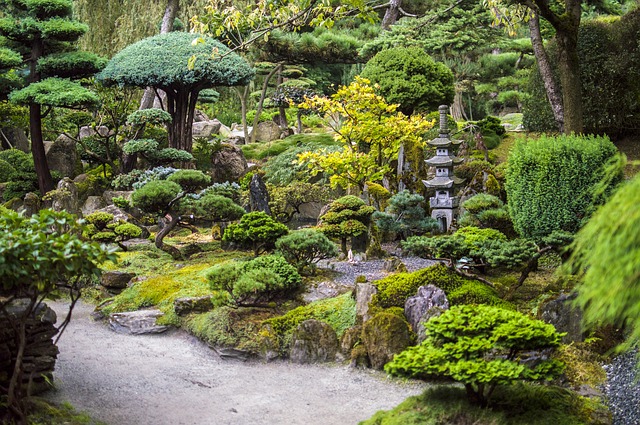 japonská zahrada.jpg