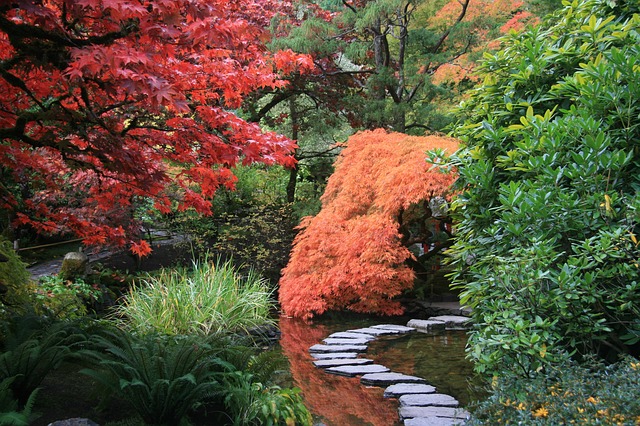 japonská zahrada a cesta.jpg